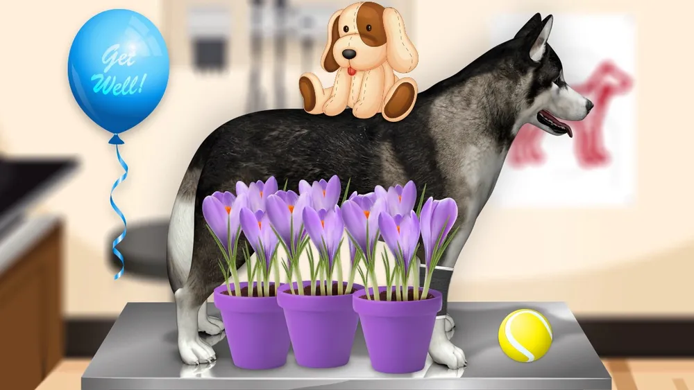 Pet Vet game