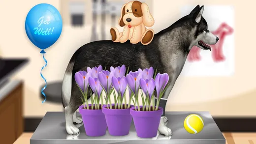 Pet Vet game