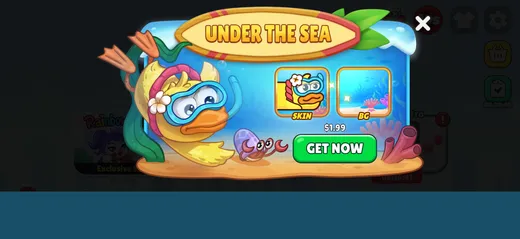 Customization
