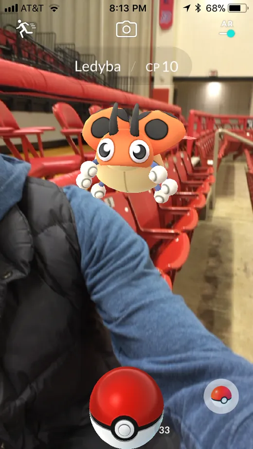 Ledyba