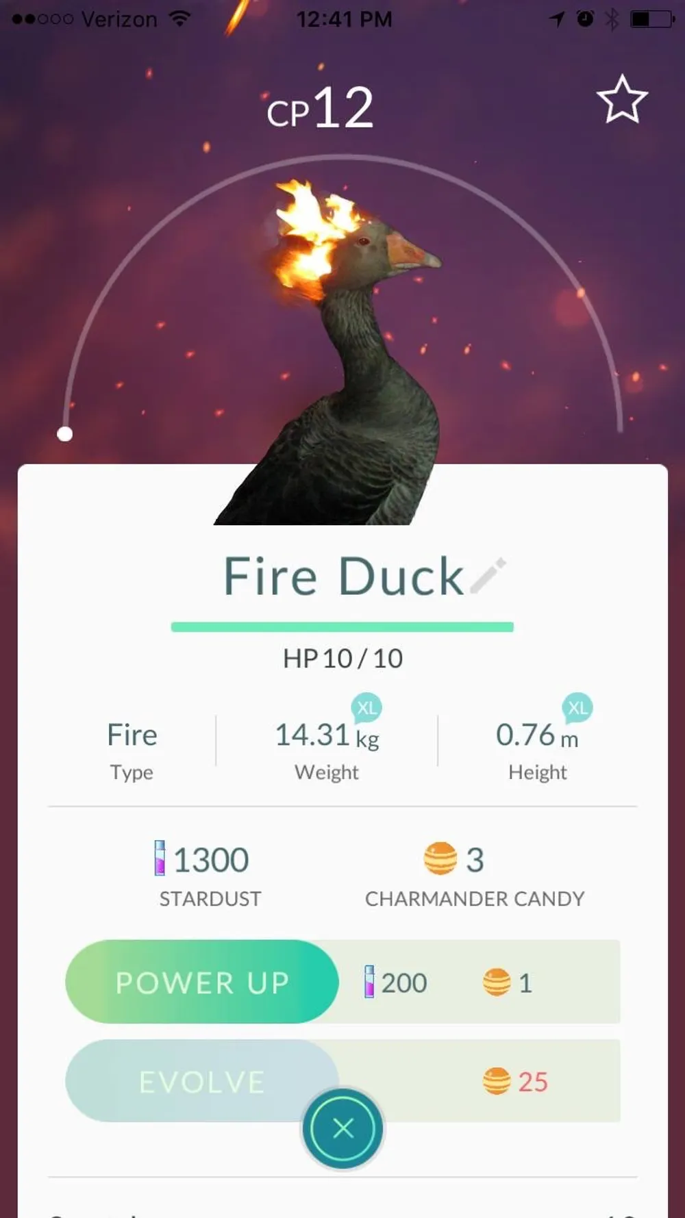 Fire Duck