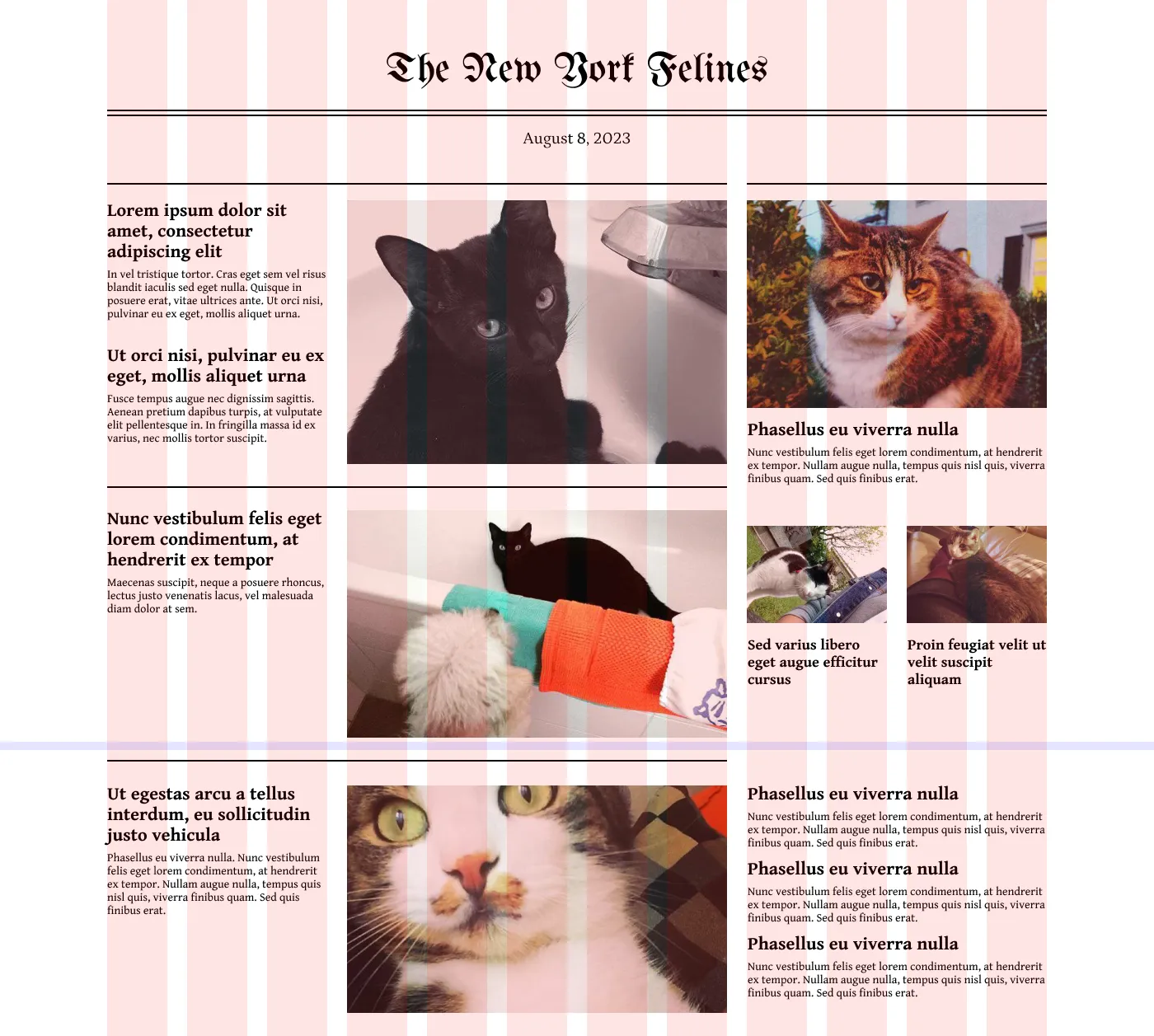A screenshot of our New York Felines redesign.