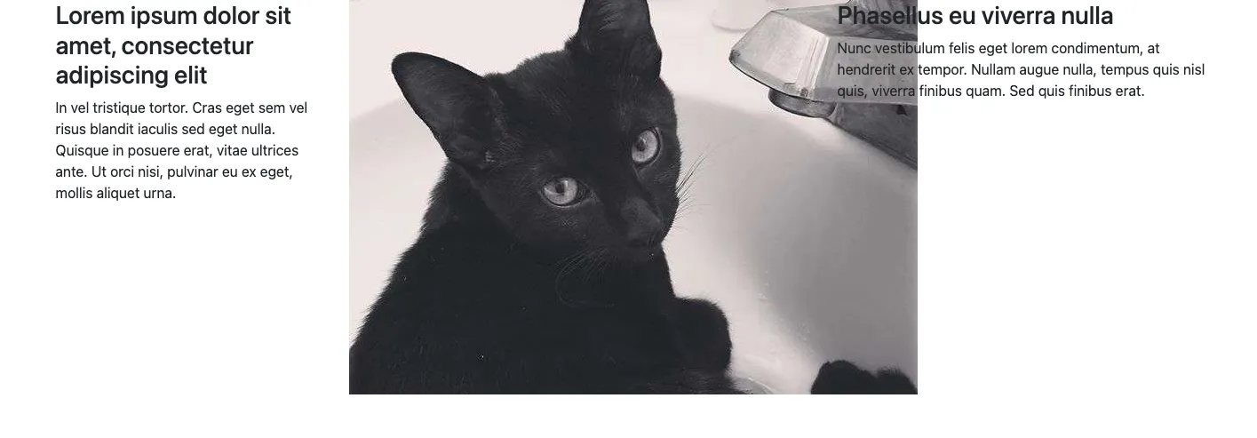 A screenshot of the image in the second column.