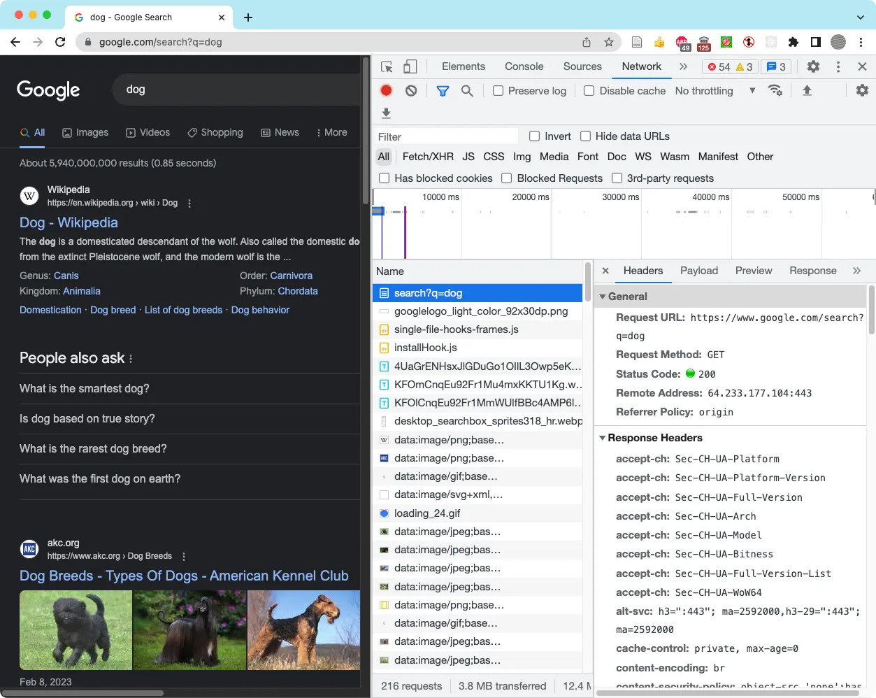 A screenshot showing how to inspect the headers of the GET request using a Google search for “dog”