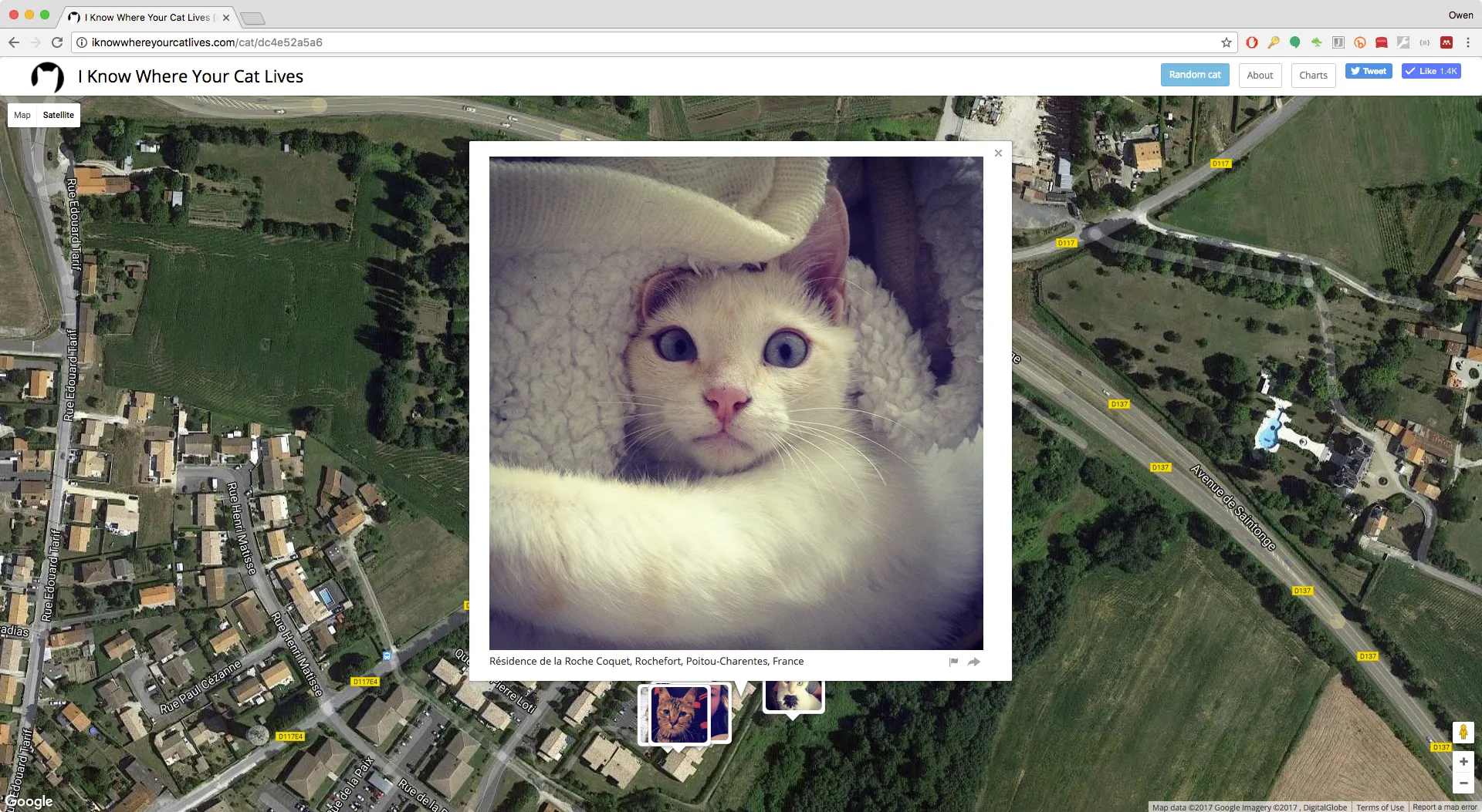 I Know Where Your Cat Lives