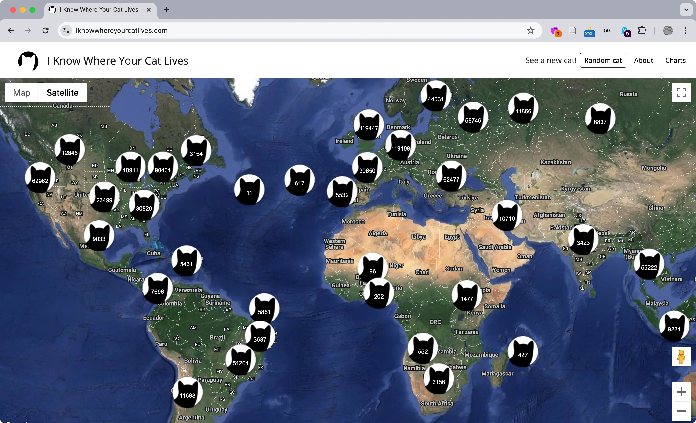 I Know Where Your Cat Lives