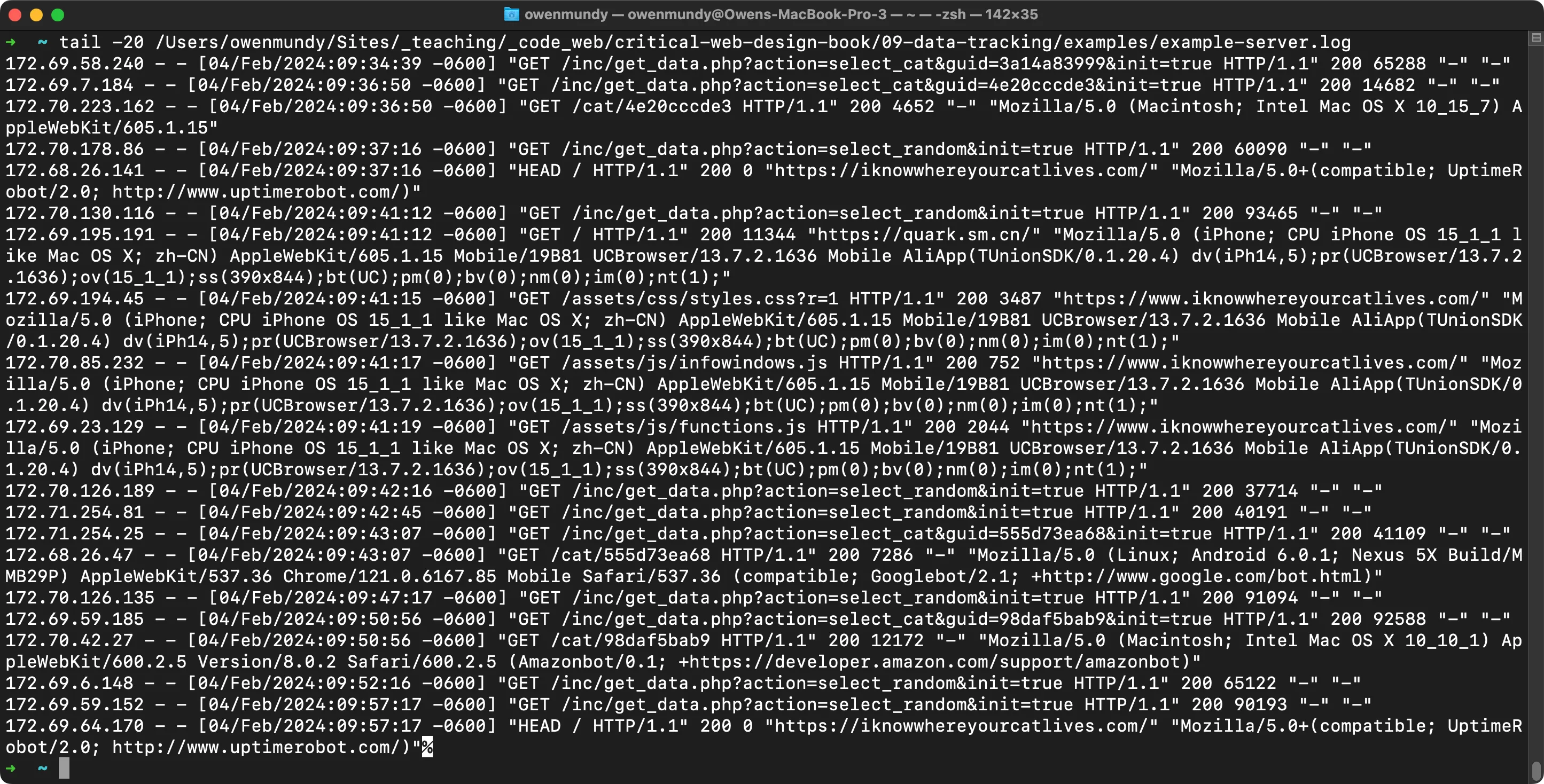 Access log information in white on a black screen.